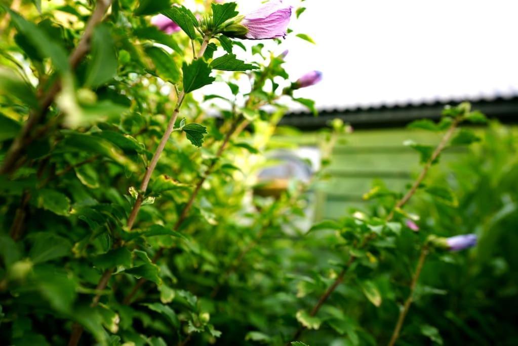 Romantic Retreat - Luxury Shepherds Hut + Hot Tub! Camborne Exteriér fotografie